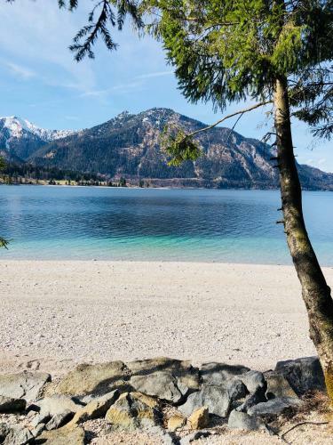 Hostal Gasthof Hotel Waltraud