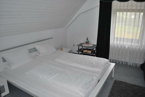 Hostal Landgasthof Hirschen Untermettingen