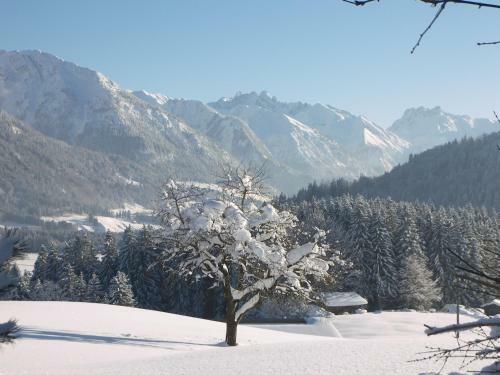 Apartamento Landhaus Vogler