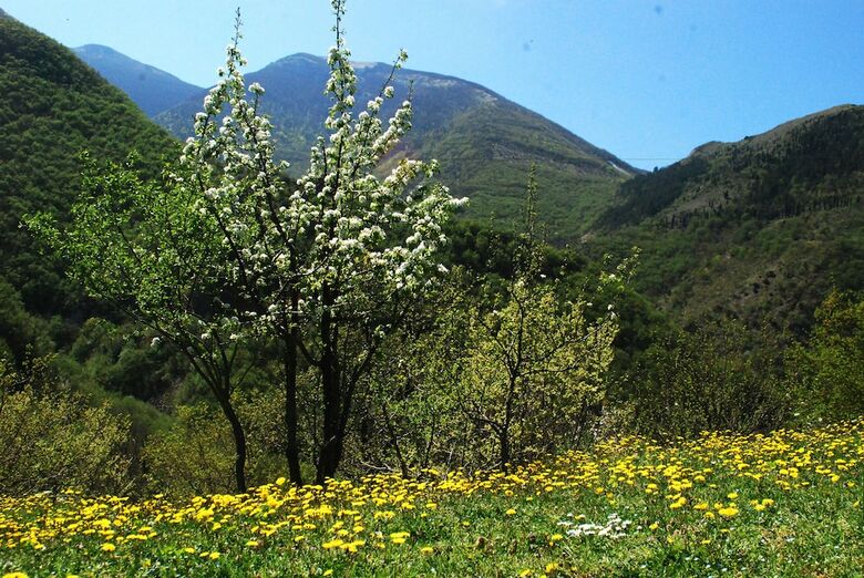 B&B Villa Taddea