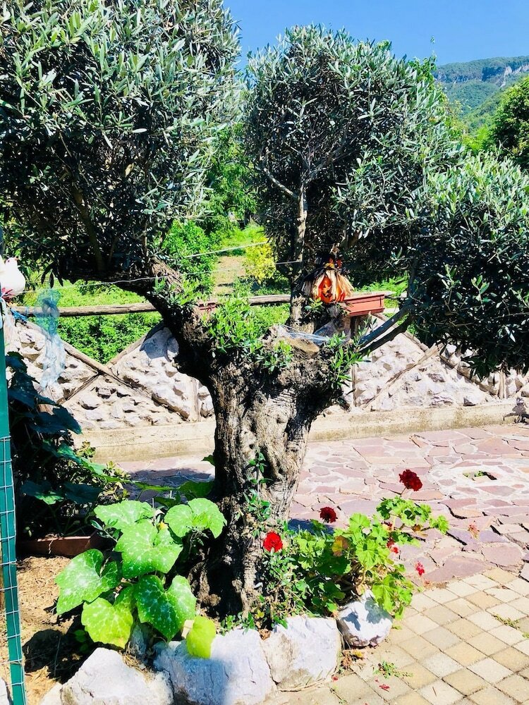 Agroturismo Agriturismo A Do' Cumparone