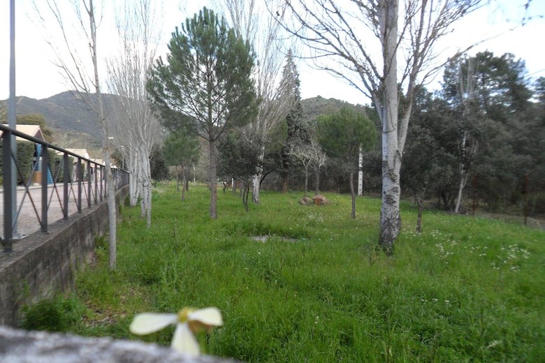 Camping Puente Nuevo