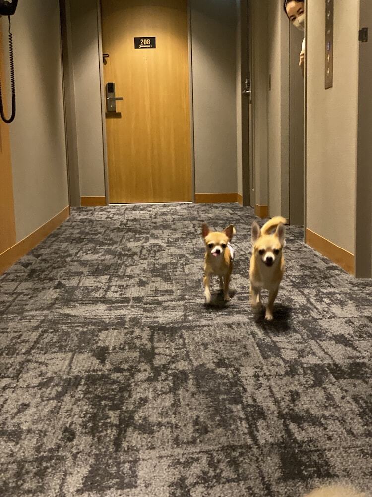 Ici Hotel Asakusabashi