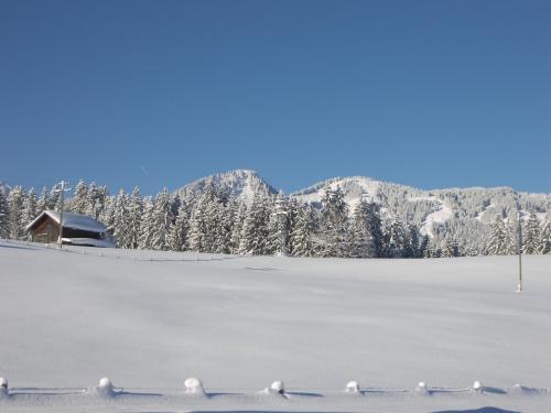 Apartamento Haus Allg�ublick