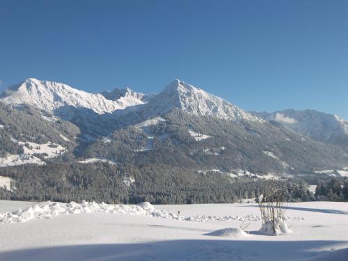 Apartamento Haus Allg�ublick
