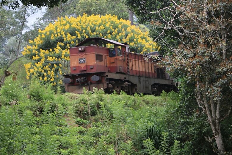 Hotel Train View Chalet
