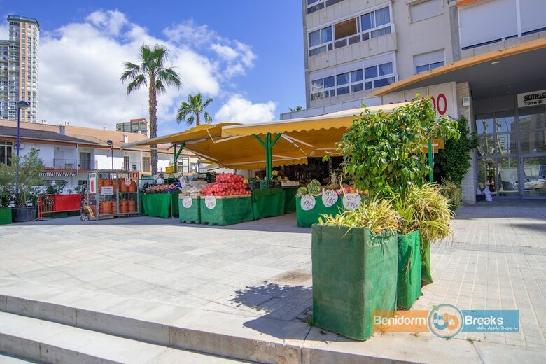 Apartamentos Gemelos 22