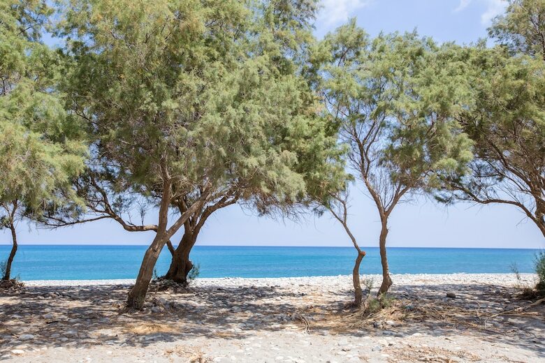 Aadonis Villa