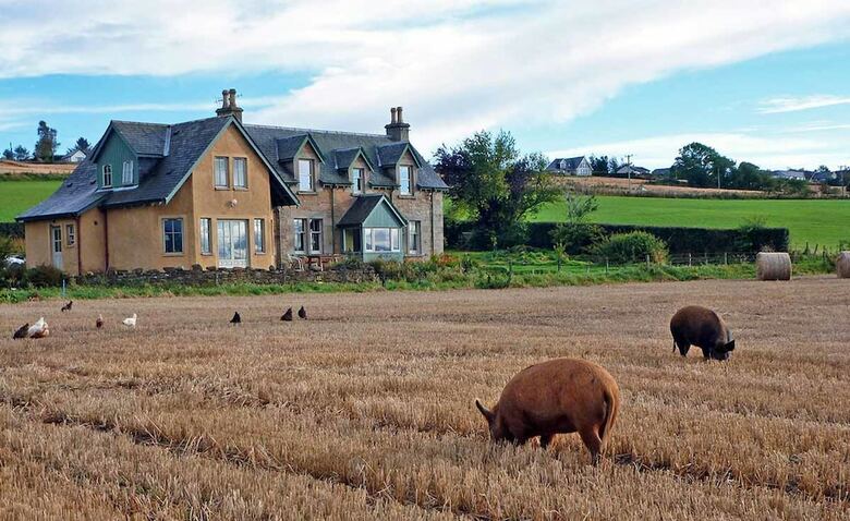 Bed & Breakfast Netherton Guest House