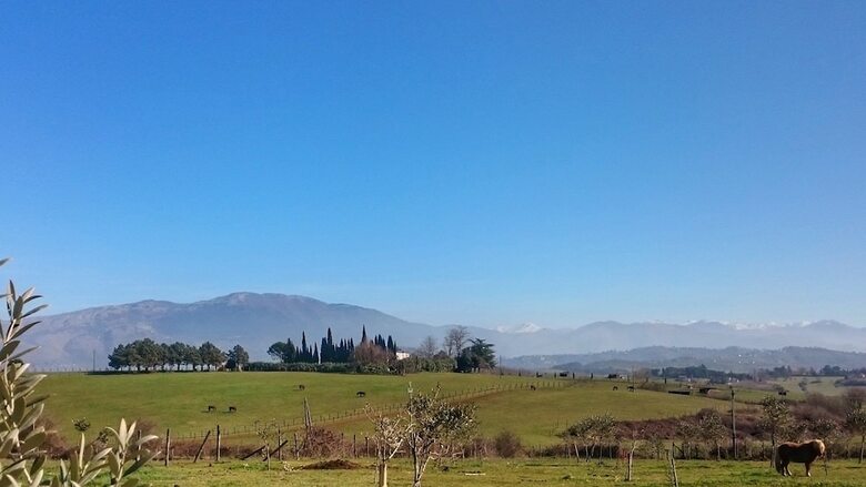Agroturismo Agriturismo Bio Relais Terra Del Vento