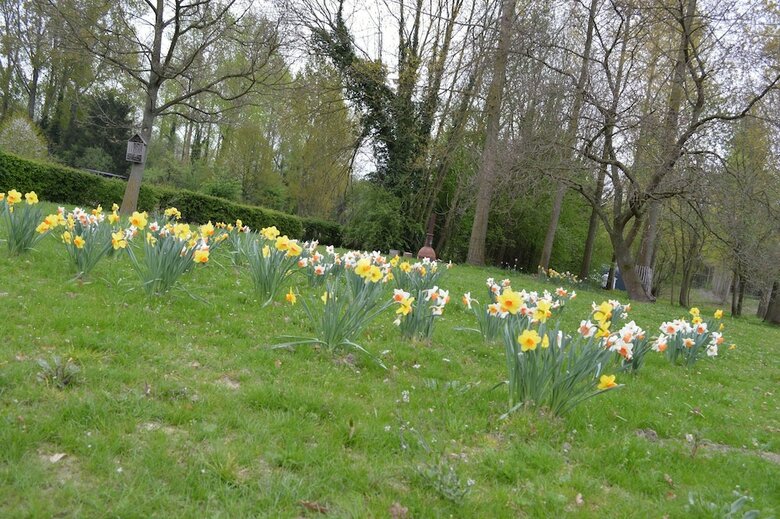 Vakantiewoning de Pluktuin