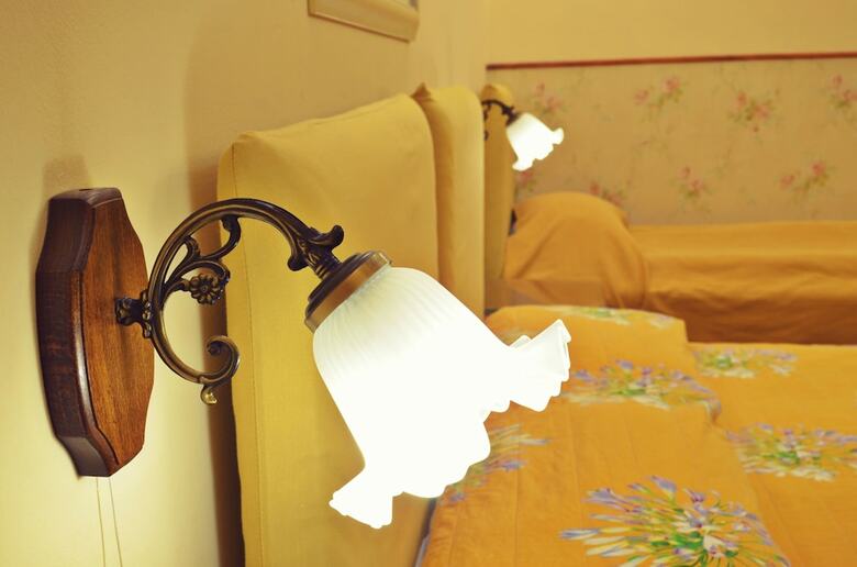 Hotel Vila Camelia Sinaia