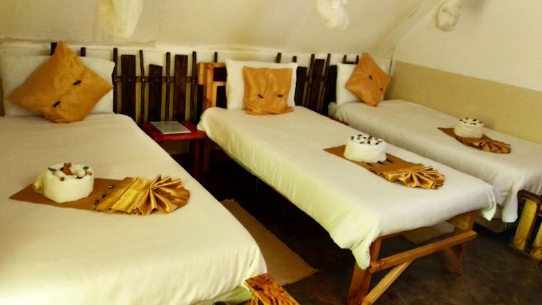 Hostal Elephant Trail Guesthouse And Backpackers