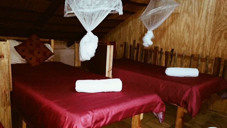 Hostal Elephant Trail Guesthouse And Backpackers