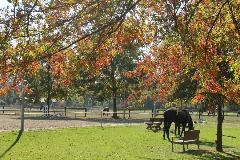 Apartments Luisenhof