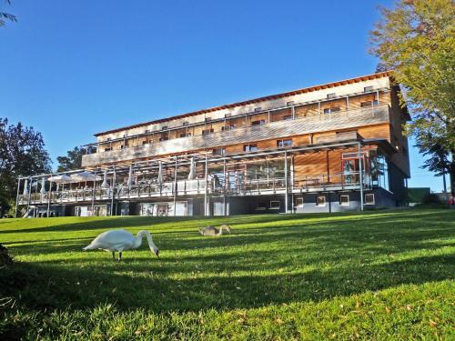 Hostal Pension Nfh Bodensee