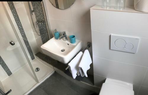 Hostal Hotel Zum Braunen Hirschen
