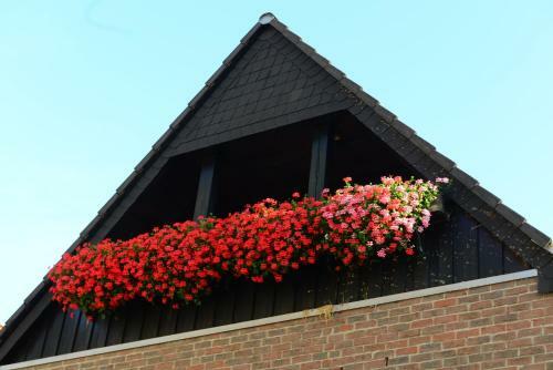 Hostal Hotel Zum Braunen Hirschen