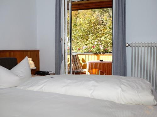 Hostal Landgasthaus Kurz