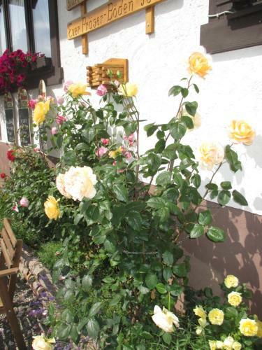 Hostal Berggasthaus Pr�ger B�den