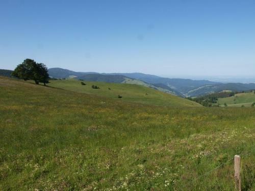 Hostal Vital Hotel Gr�ner Baum