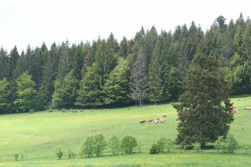 Hotel Gasthaus Hirschen