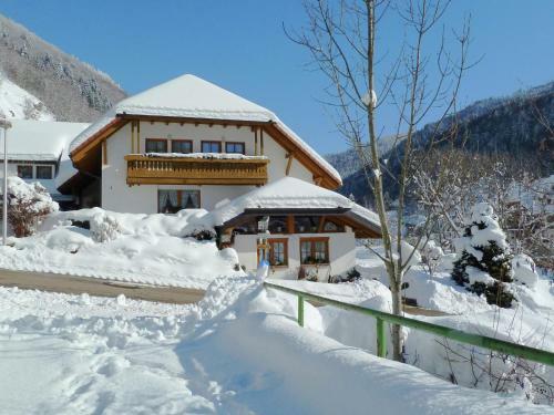 Apartment Brandenberg Todtnau