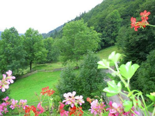 Apartment Brandenberg Todtnau