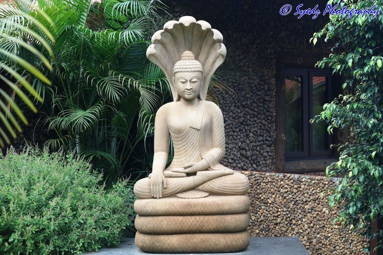 Hotel Shangri La Jungle Resort