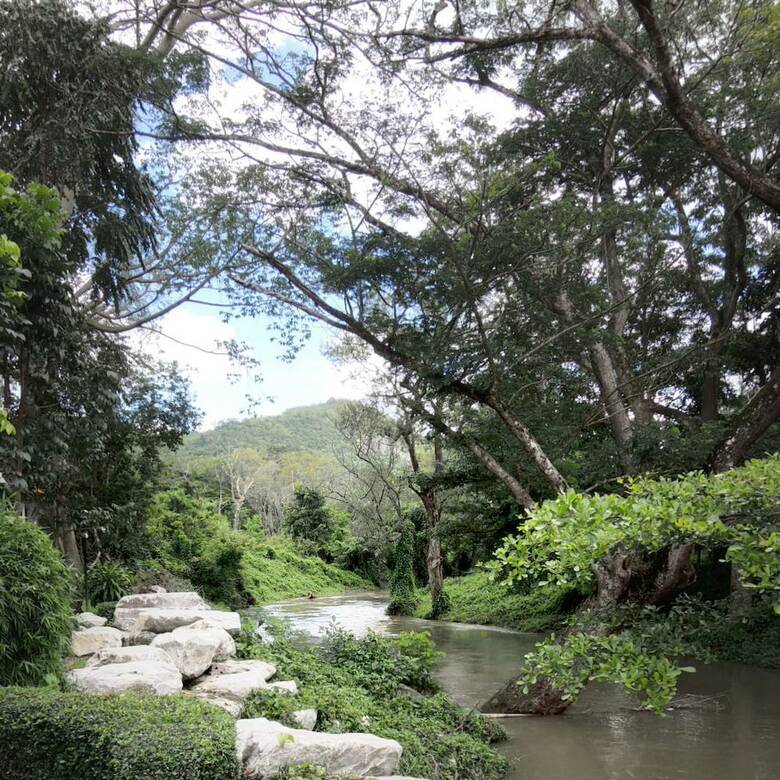 Hotel Moosi Yard Hometel Khaoyai