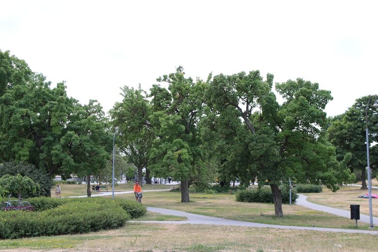 Alyhr Apartments