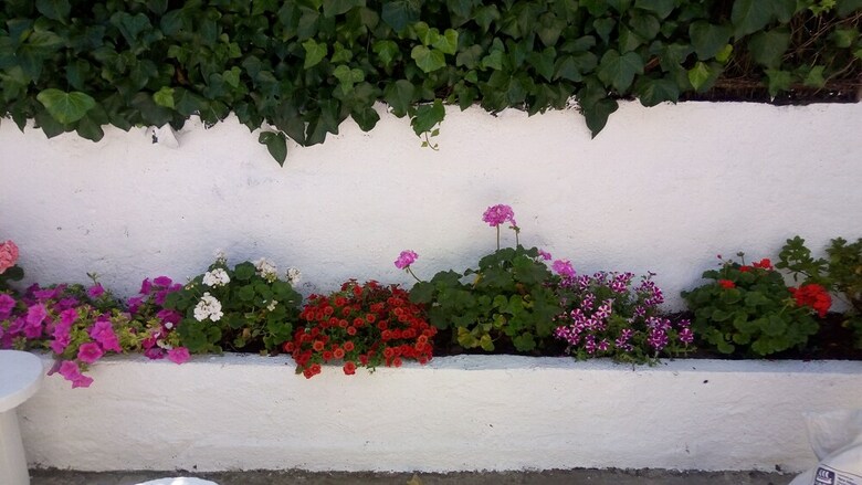Bed & Breakfast Casa Amarela - Guest House
