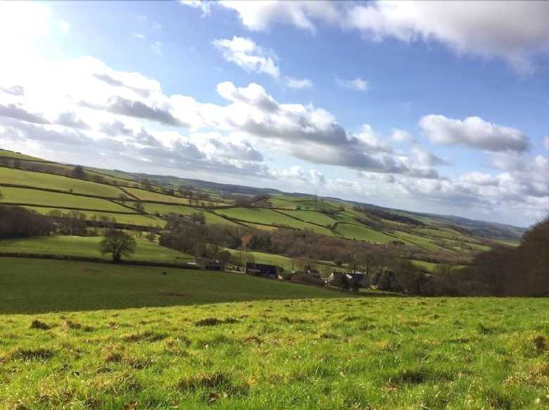 Self Catering Cottages At Handley Farm