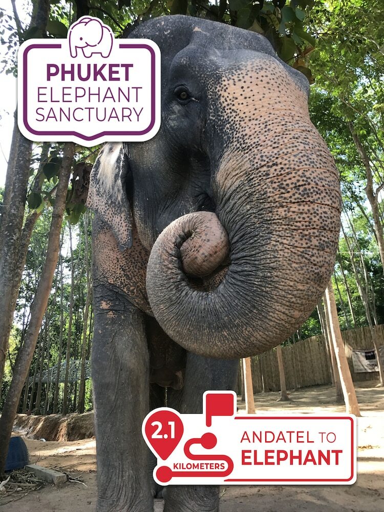 Hotel Andatel Grand� Patong Phuket