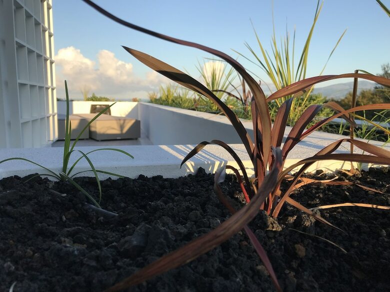 Hotel Vinhas Do Calhau