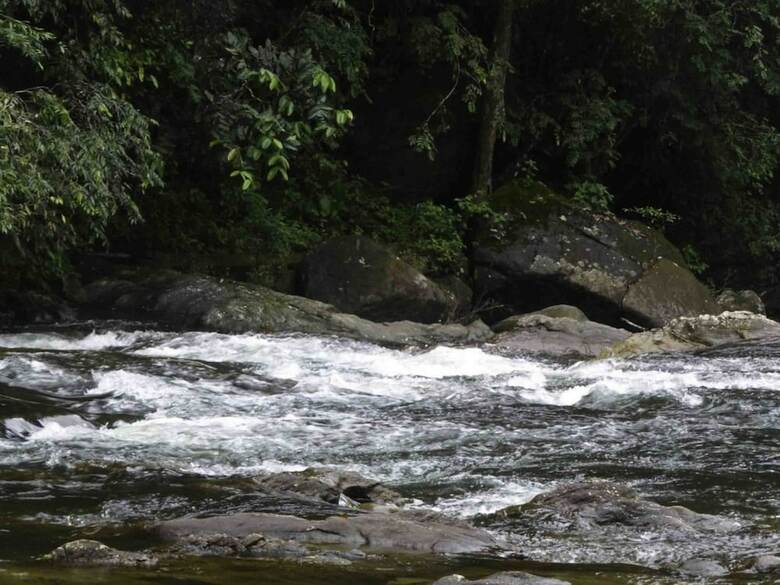 Hotel Yoho Sinharaja Birders Lodge