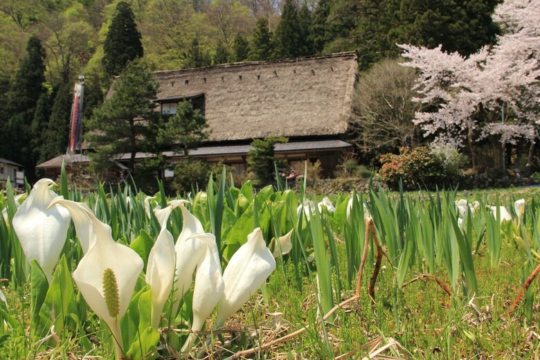 Akao-kan