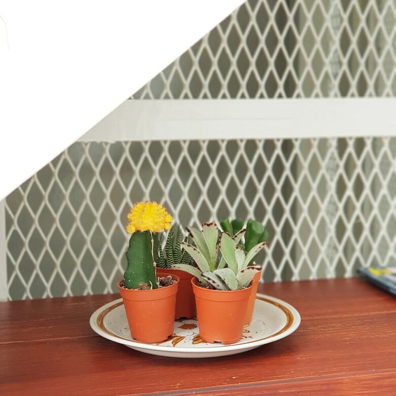 Hostal Lita Bangkok