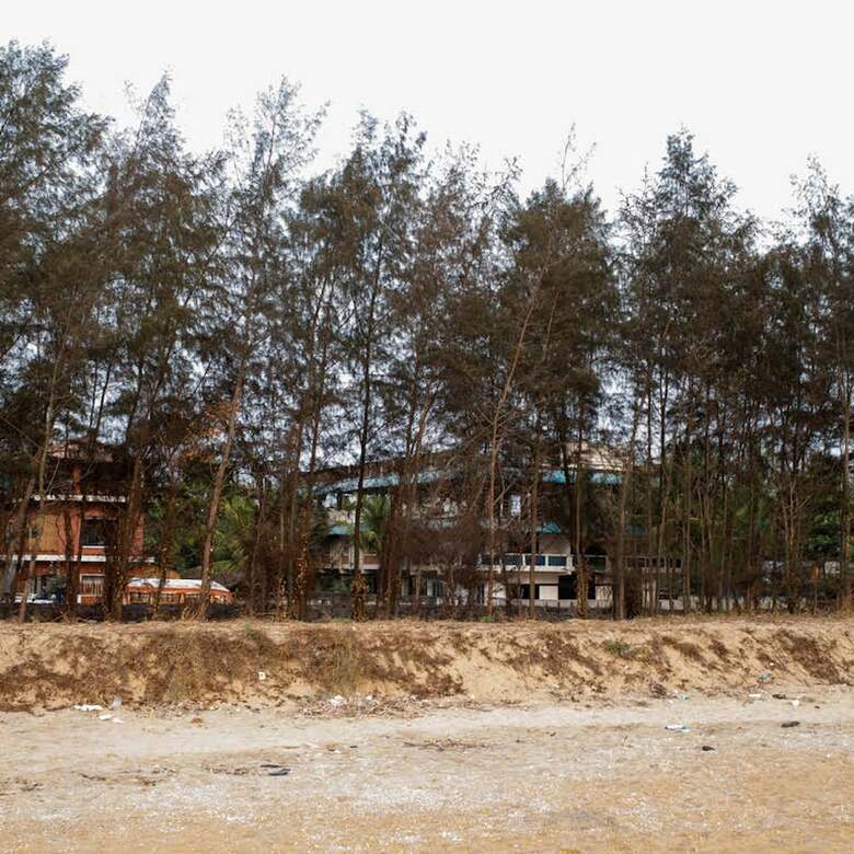 Hotel Kuzhupilly Beach House