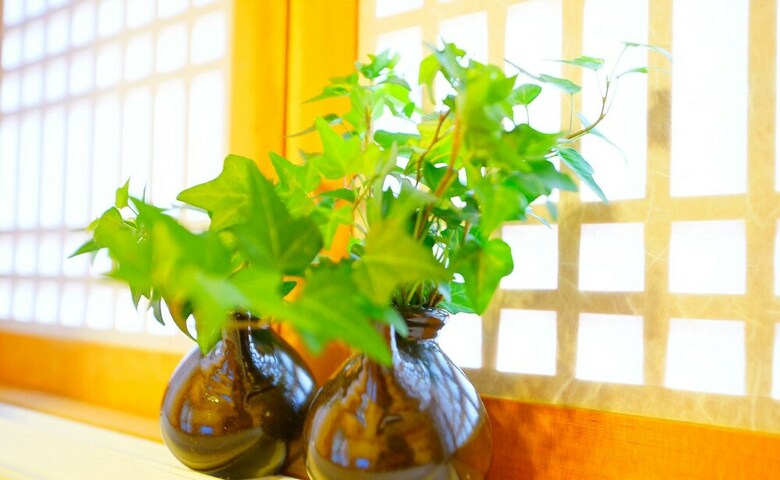 Hotel Hanok House