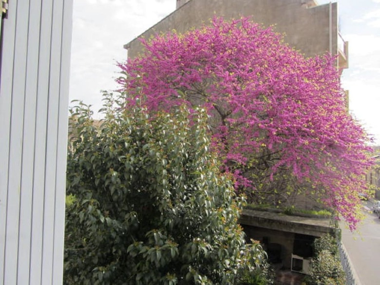 Bed & Breakfast Aude Cit�-city