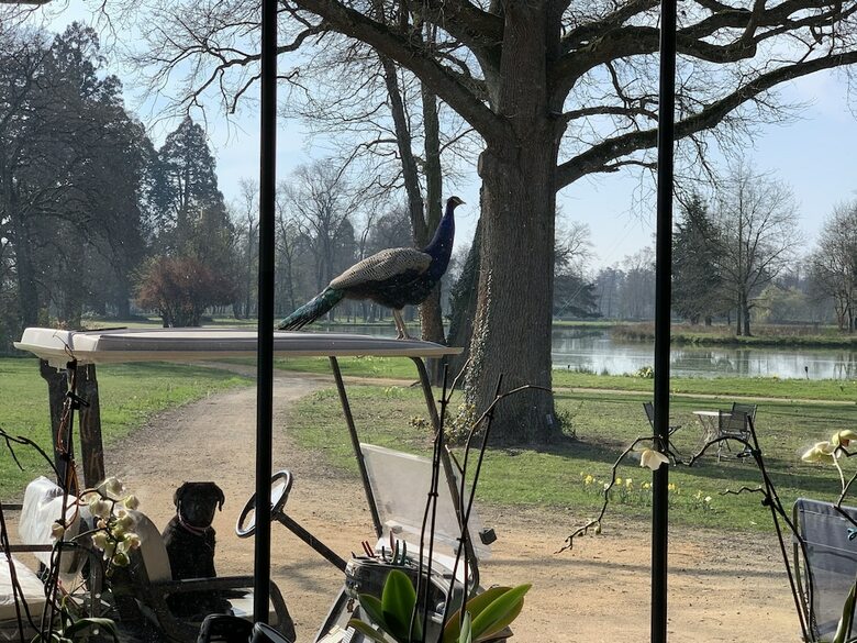 Bed & Breakfast L'orangerie De Ch�tel