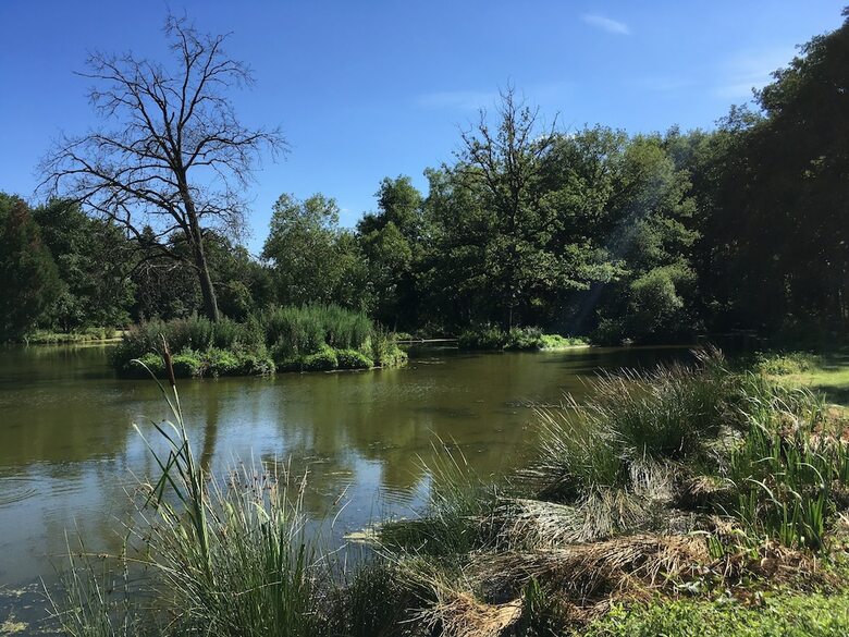 Bed & Breakfast L'orangerie De Ch�tel