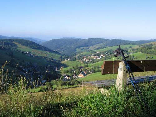 Esche