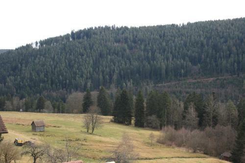 Hotel Schwarzwald-gasthof Hirsch