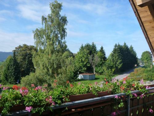 Hostal G�stehaus Hundelbach