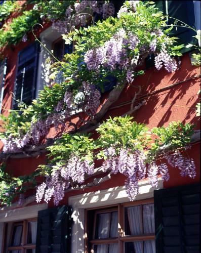 Hostal Hotel L�wen-weinstube