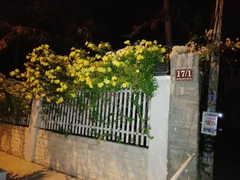 The House 17/1