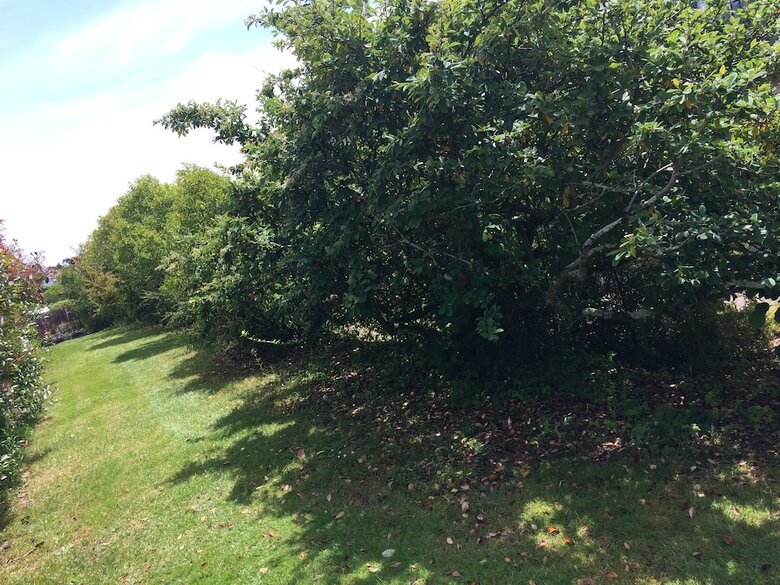 Residencia Le Piquet R�sidence