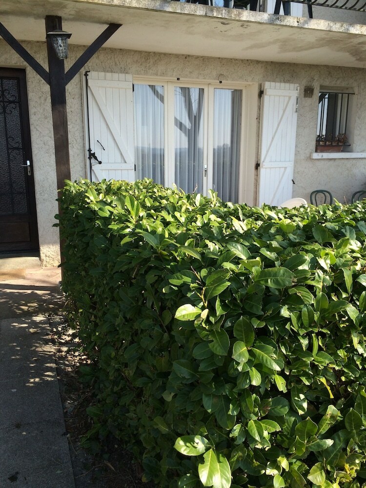 Residencia Le Piquet R�sidence